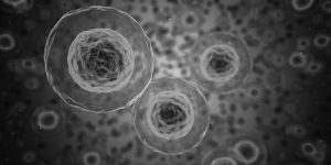 bretagne-sport-sante-obesite-adipocytes-covid19