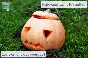 Bretagne Sport Santé - Bienfaits courge